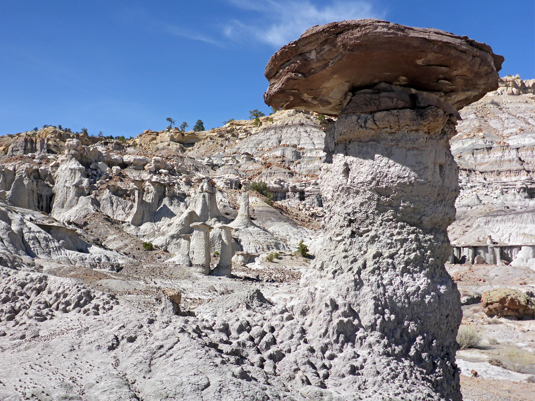 Near and far hoodoos