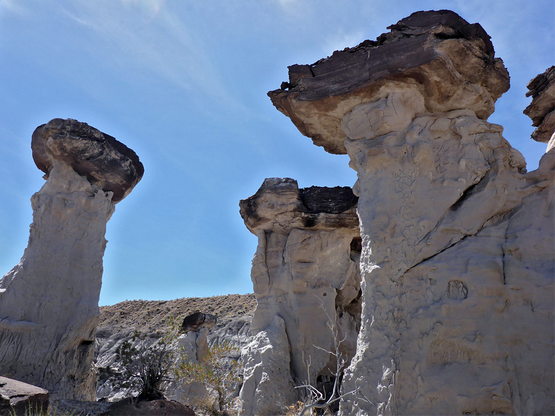 Brown and white hoodoos