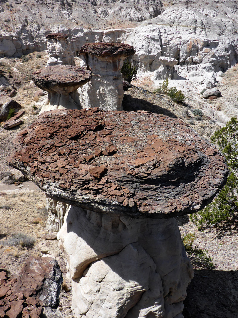 Circular caprock