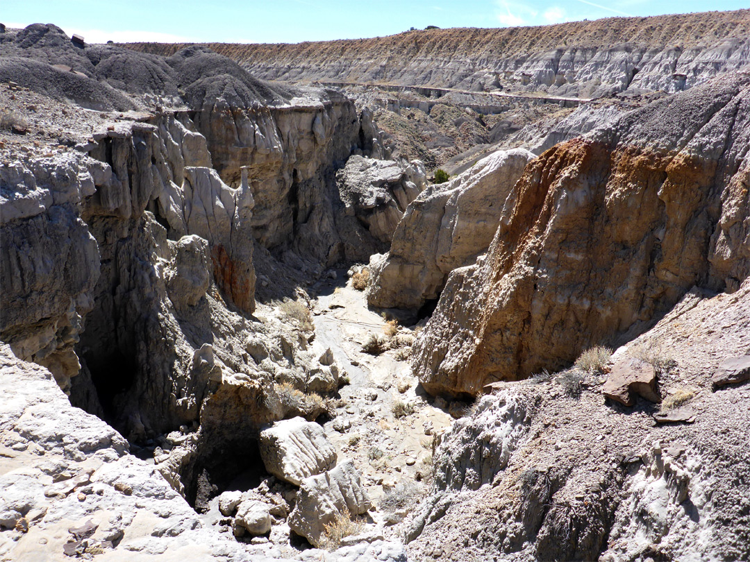 Low cliffs