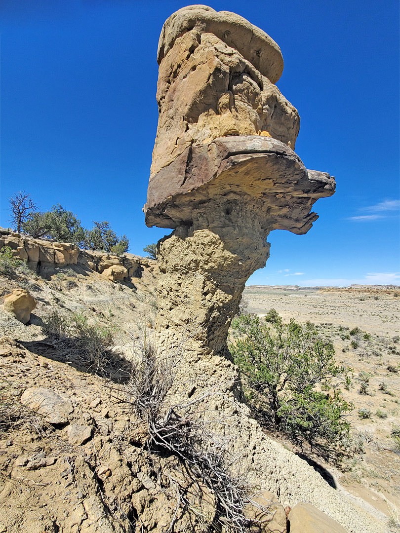 Head-like rock