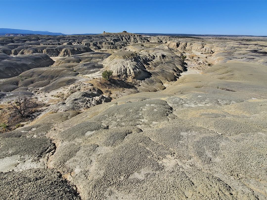 Barren plain