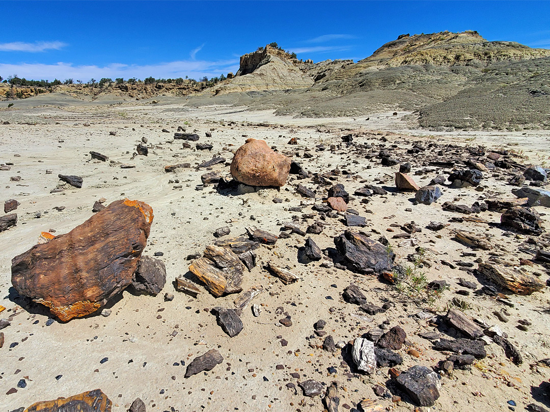 Scattered boulders