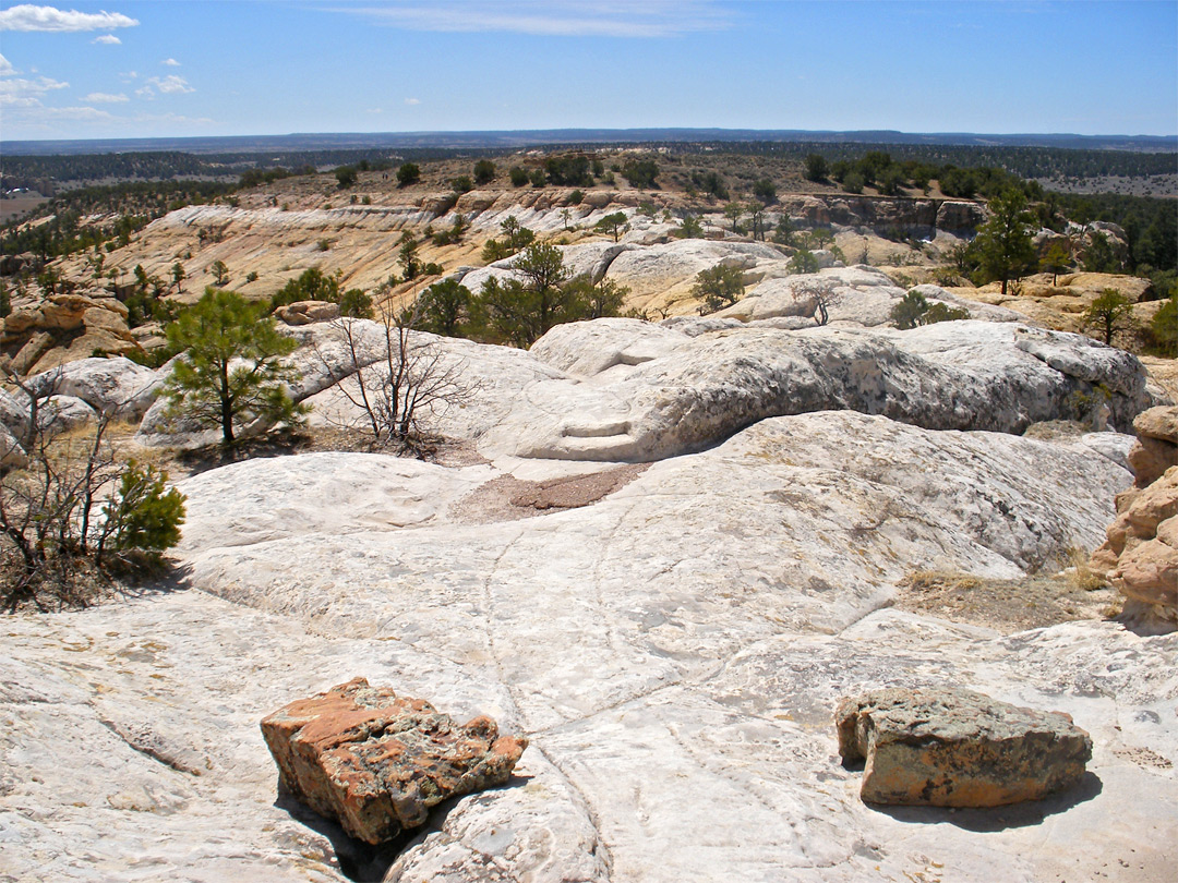 Top of the mesa