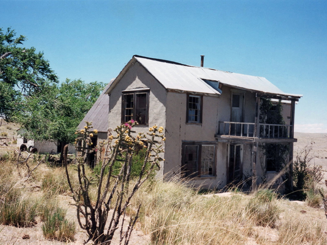 Cacti in front of the house