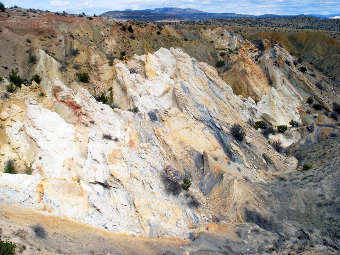 Strata in the anticline