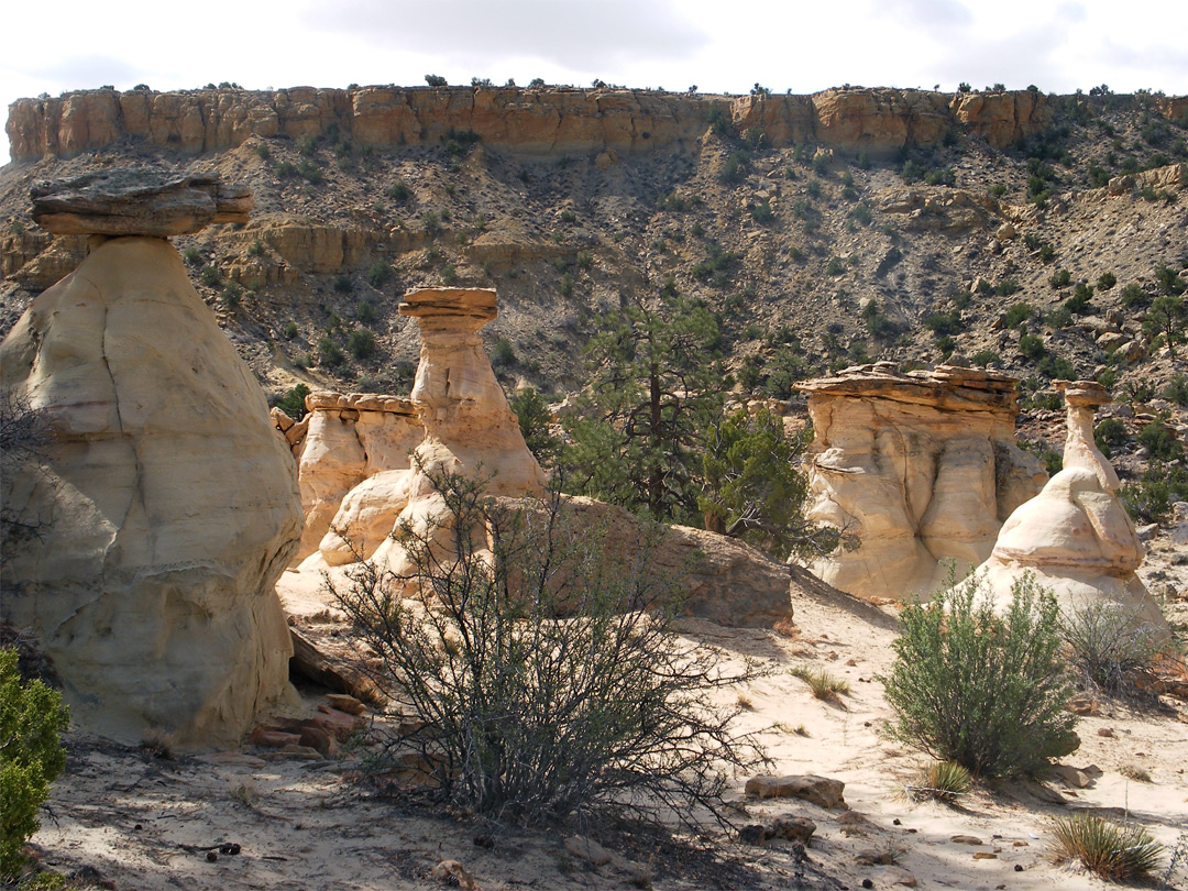 Hoodoo garden