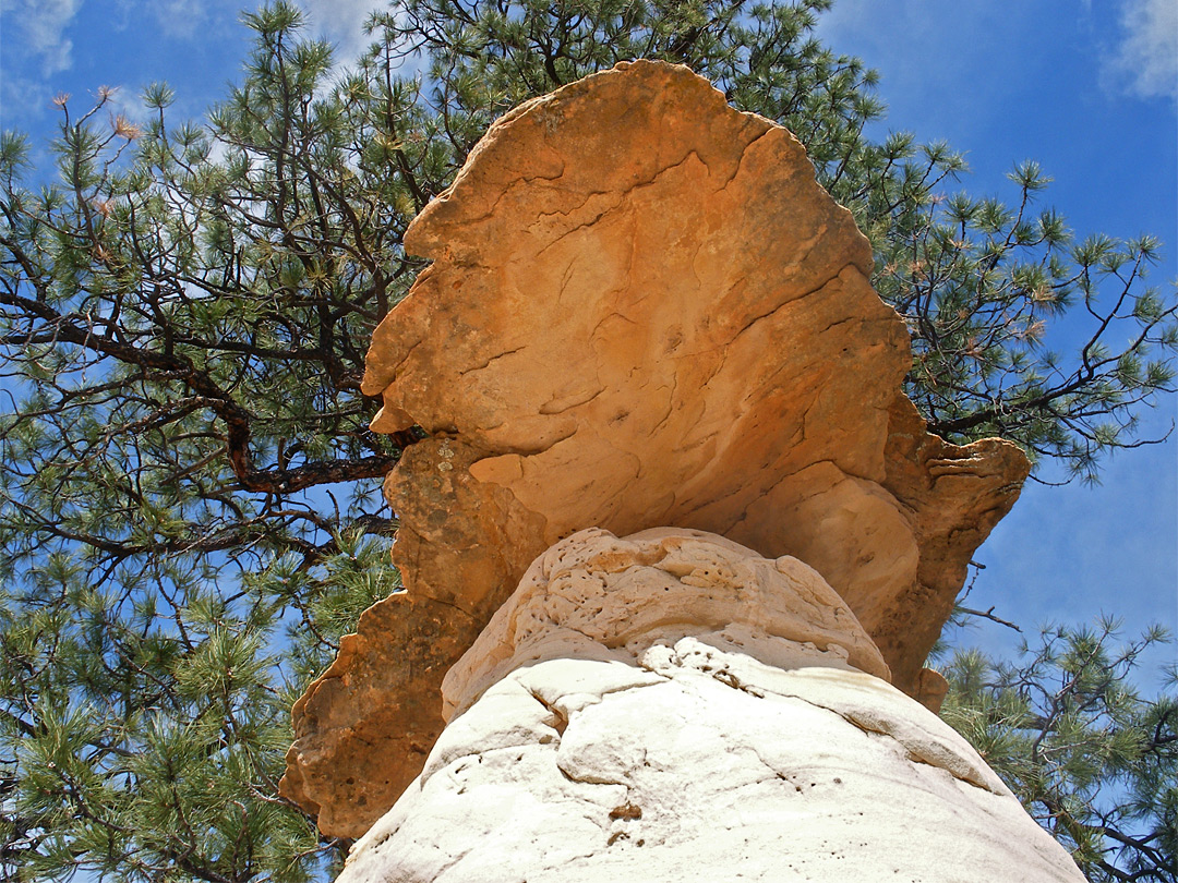 Wide caprock