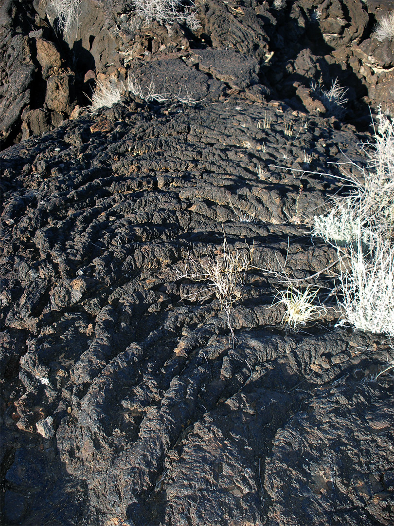 Pahoehoe lava