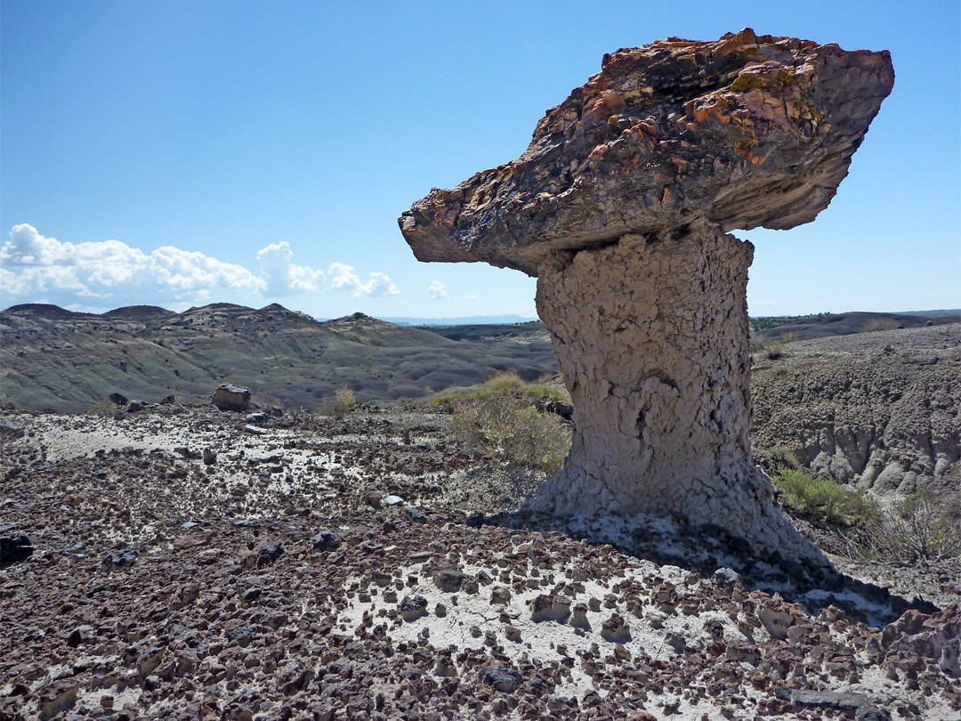 Petrified wood hoodoo