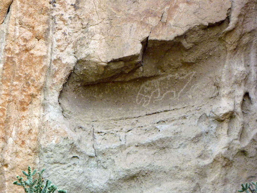 Animal petroglyph
