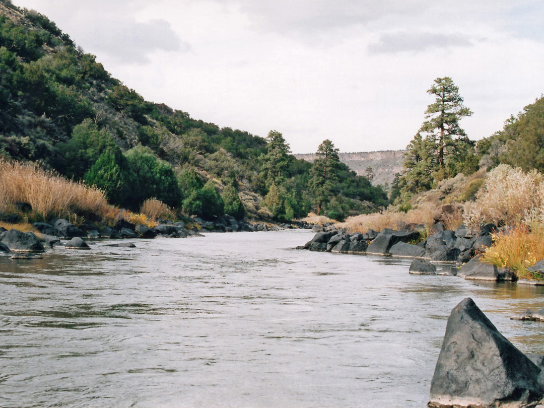 Rio Grande, near the confluence