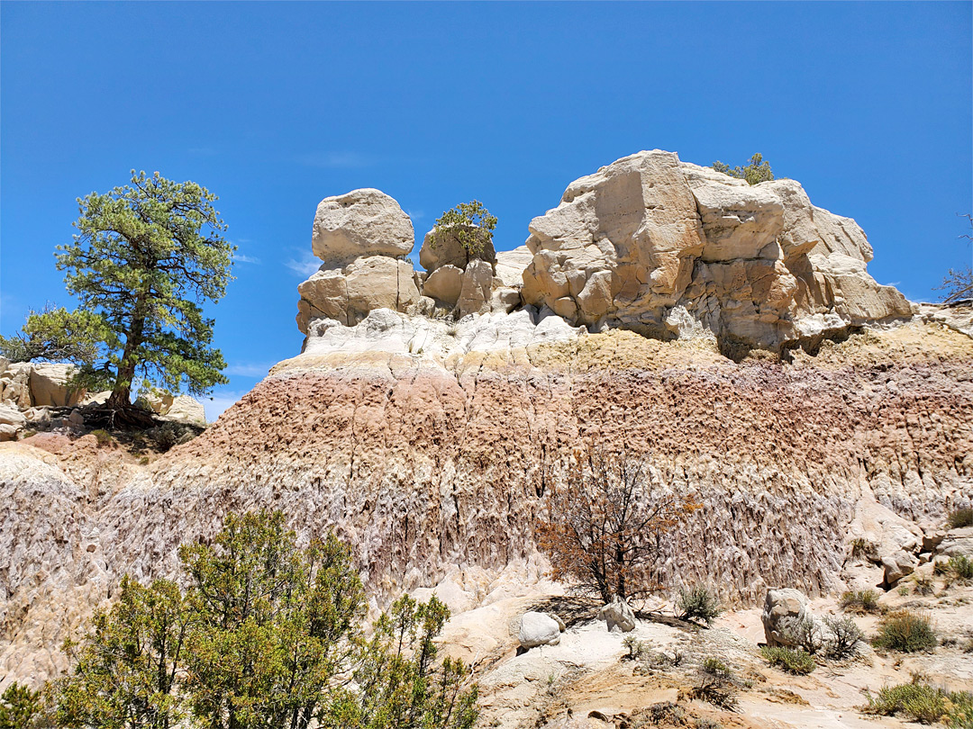 Rocks on a mound