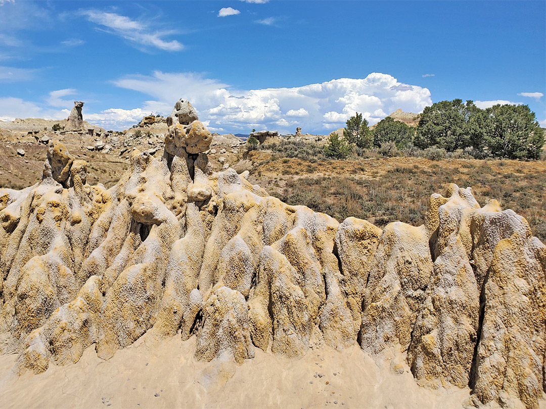 Gray-yellow outcrop