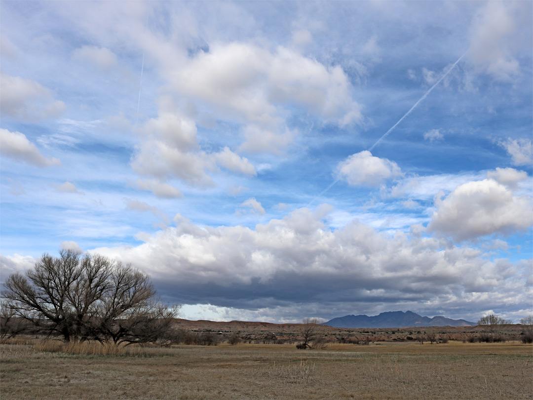 Clouds