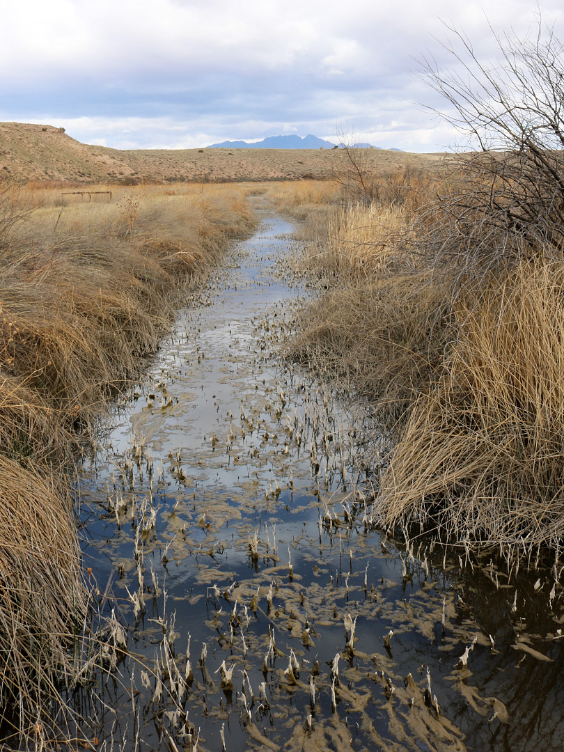 Ditch