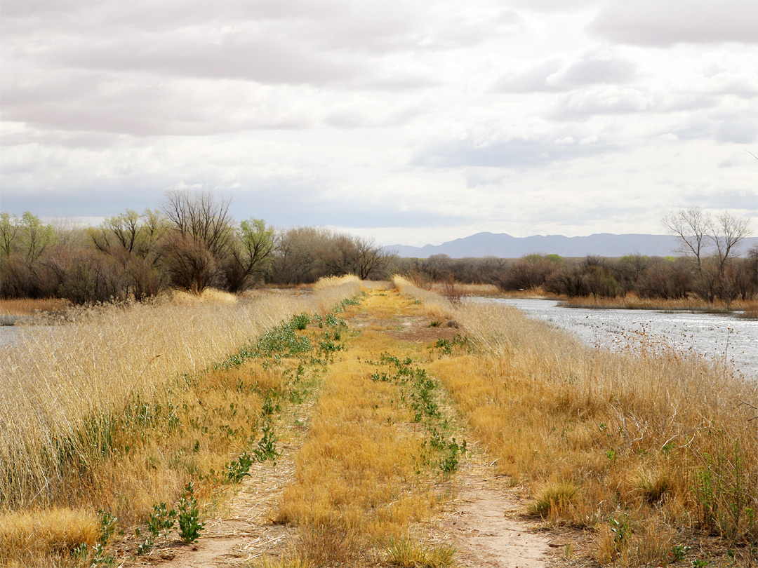 Disused track