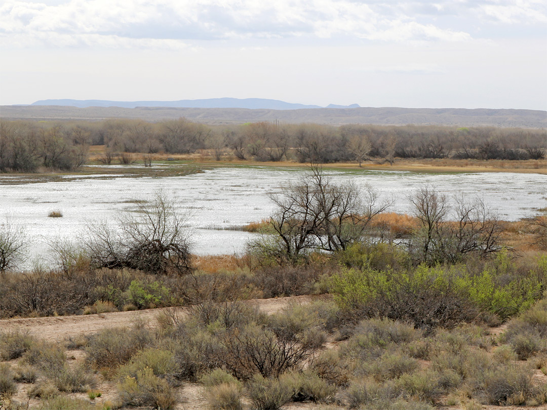 Wetlands