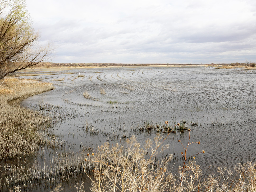 Shallow water