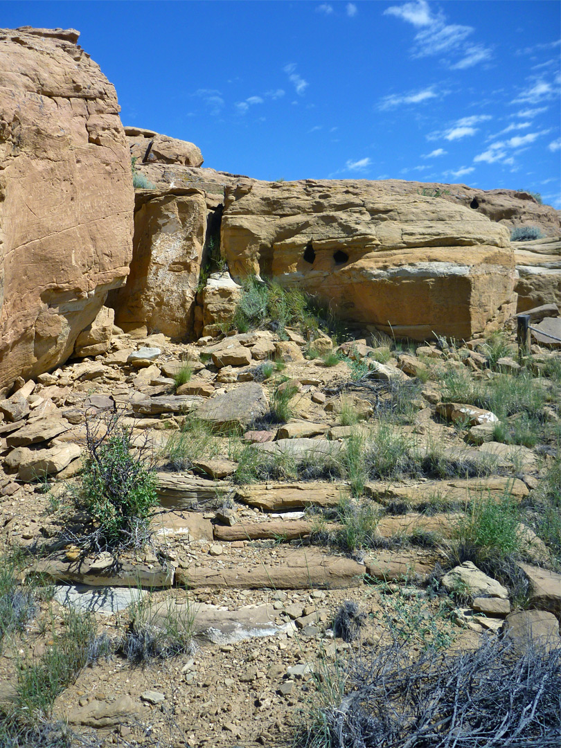 Chacoan steps