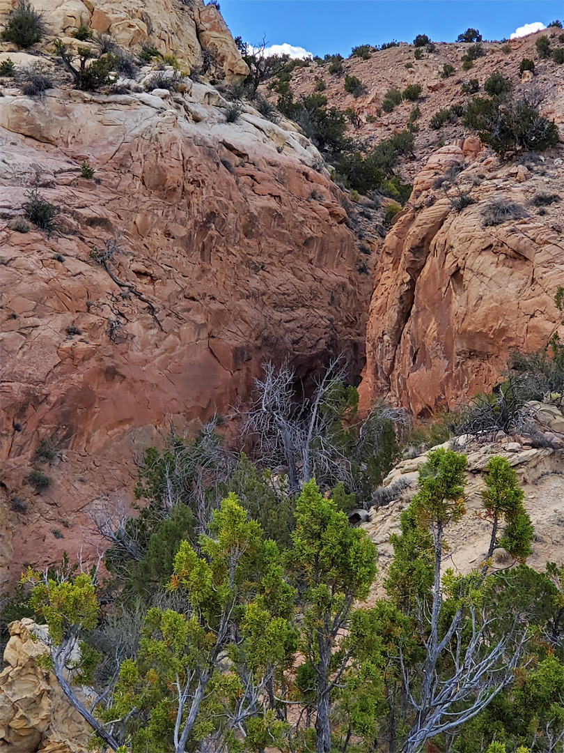 Lower end of the narrows