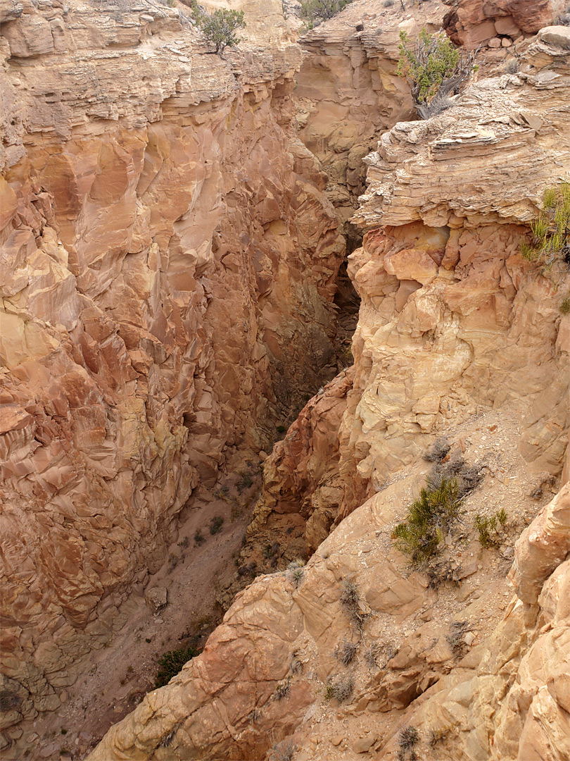 High above the streambed