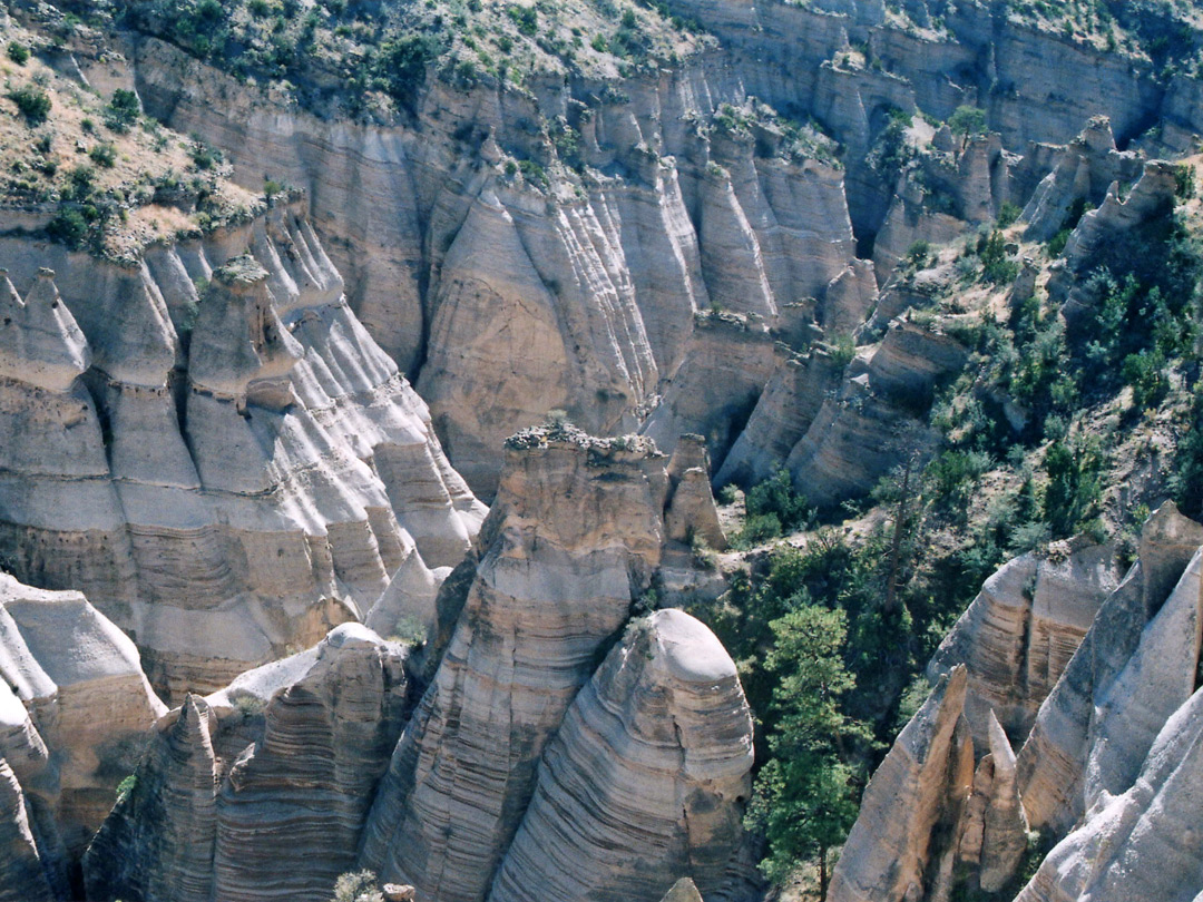 Stripy formations