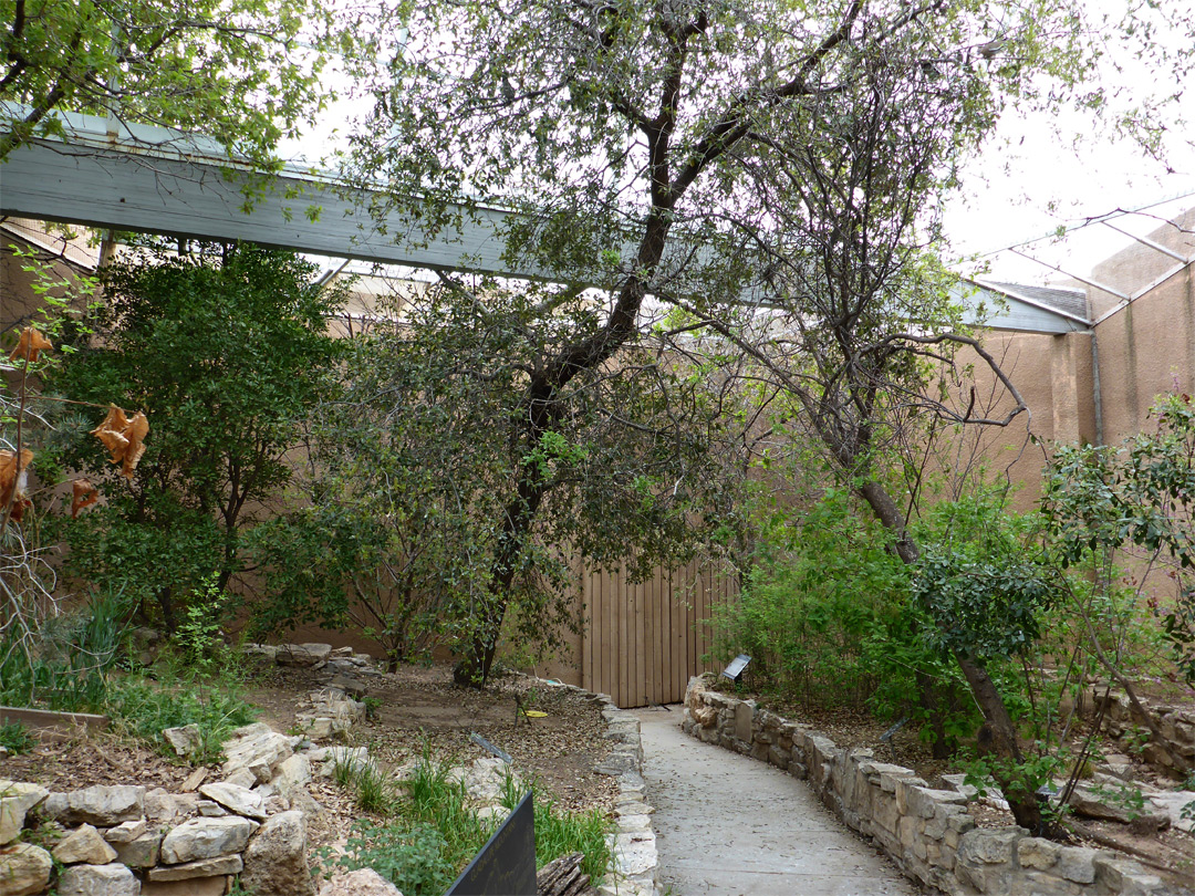 Path through the gardens