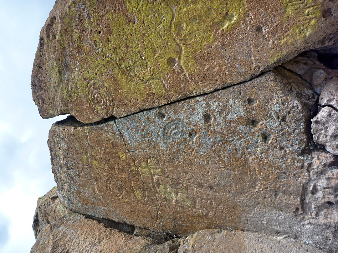 Lichen-covered petroglyphs