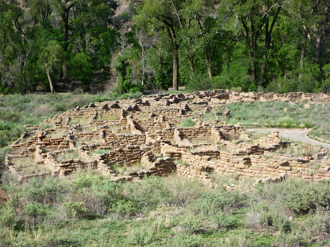 Rooms at Tyuonyi