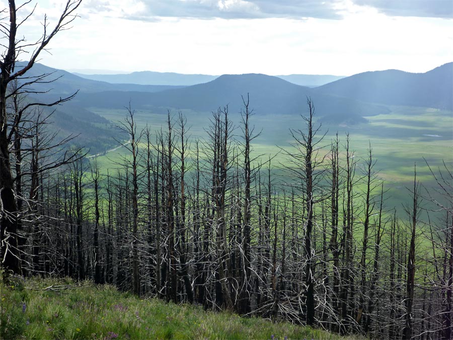 Valles Caldera