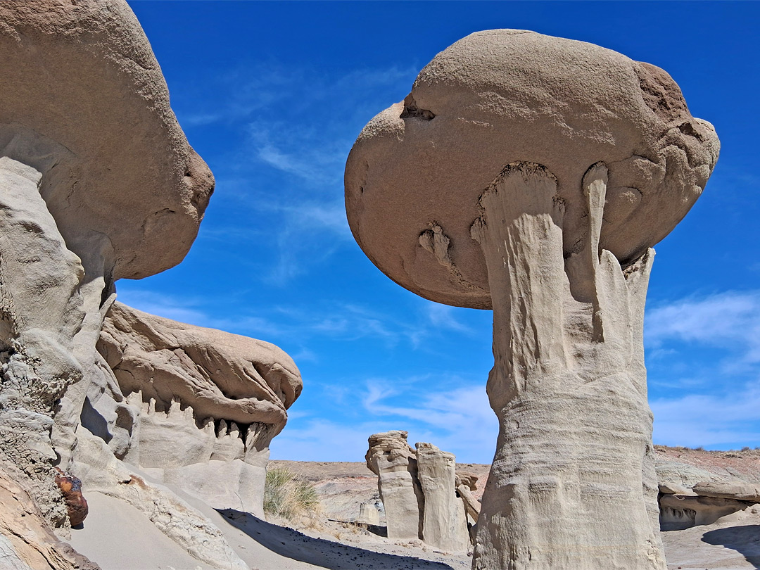 Elevated boulder