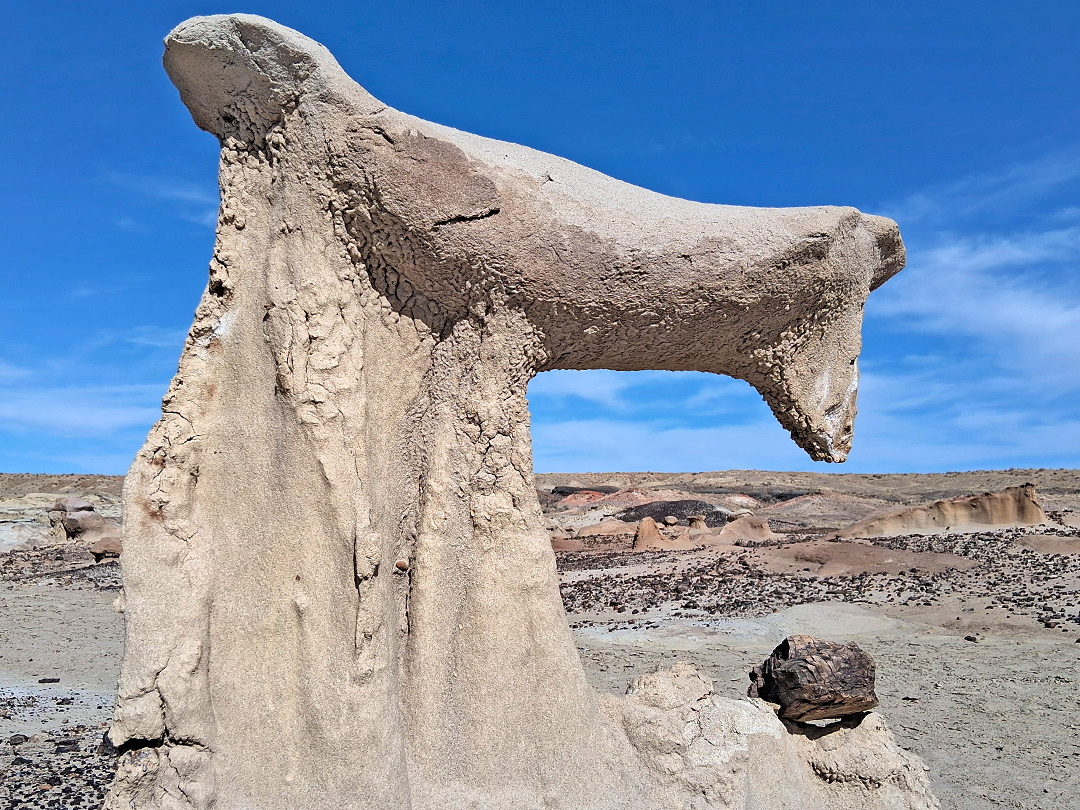 Animal-like formation