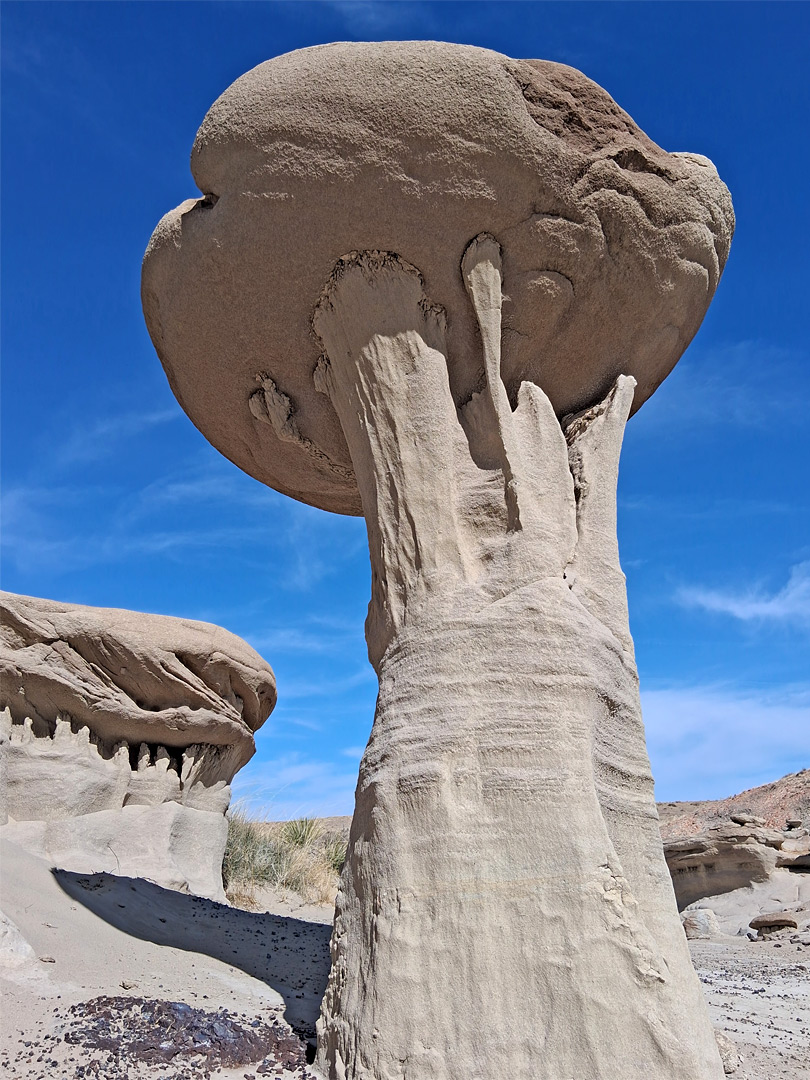 Delicate supporting pedestal