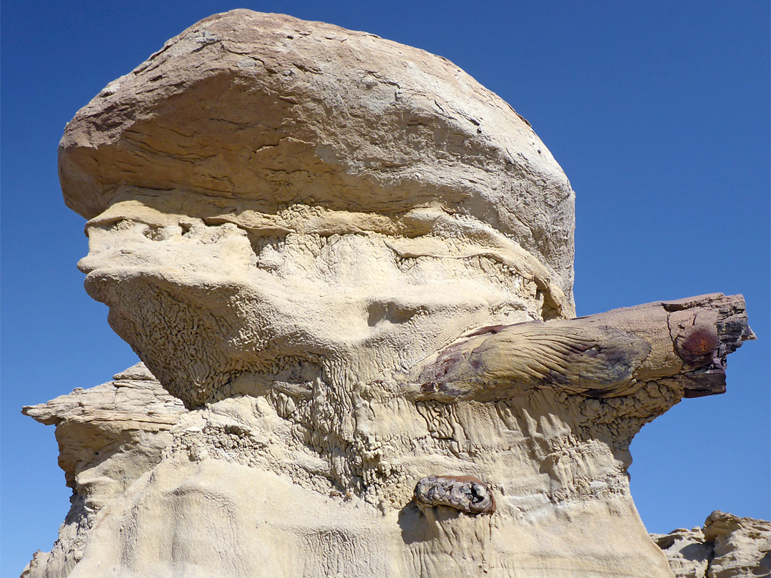 Petrified log