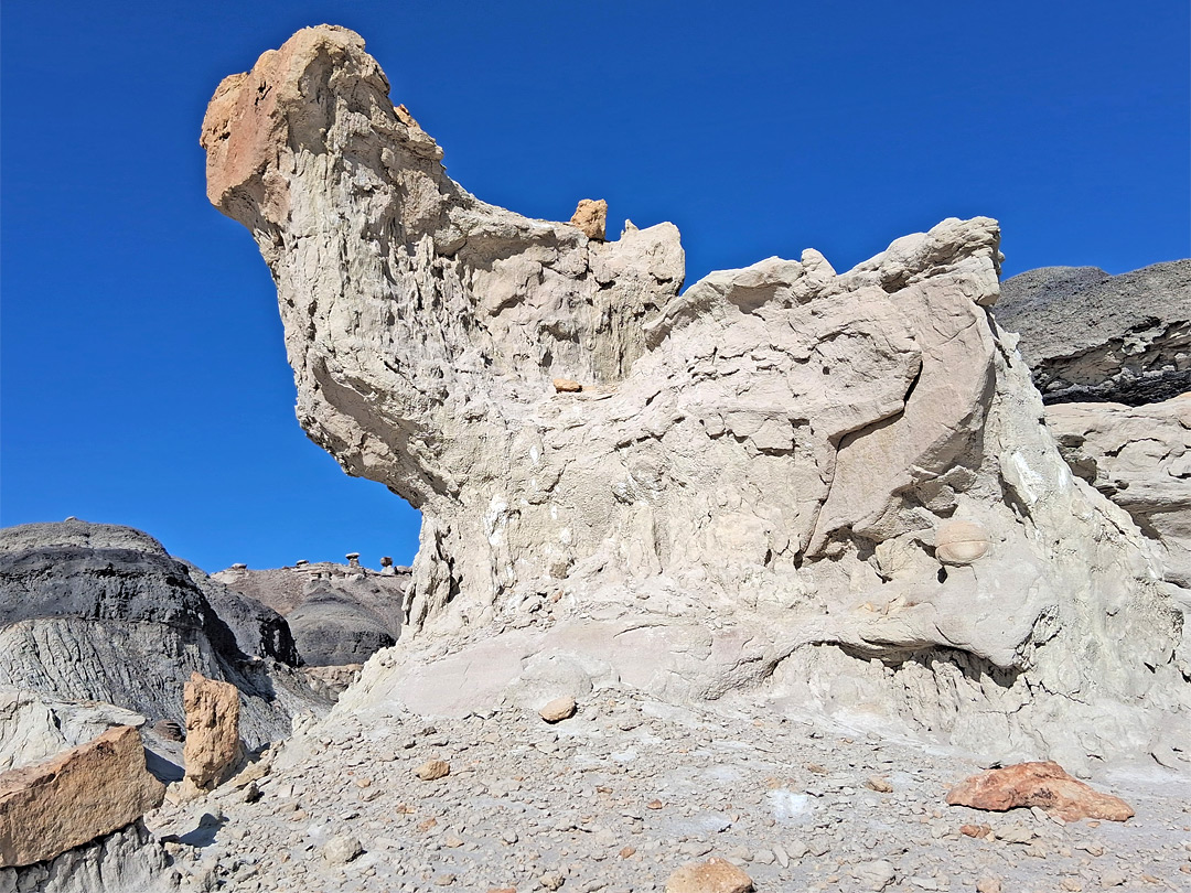 Chicken-like rock