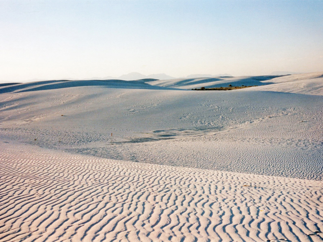 Sunset on the dunes