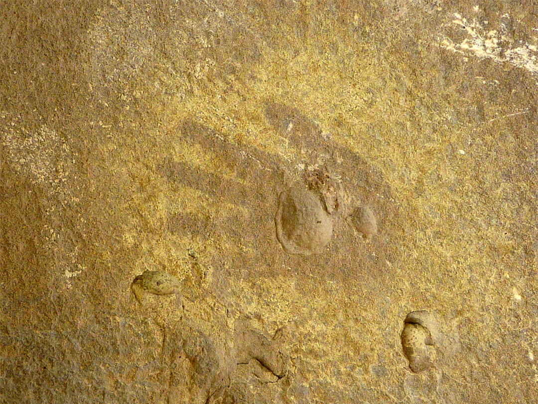 Faint handprint