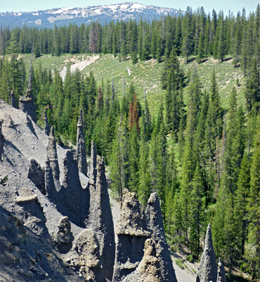 Trees and spires above Wheeler Creek