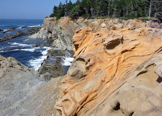 Shore Acres State Park