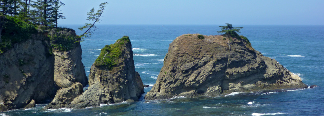 Trees at the end of a promontory, west of Norton Gulch