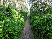 Blacklock Point Trail