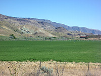 Field near the trailhead