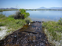 Stream from Borax Lake