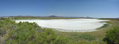 Salt pan near Borax Lake