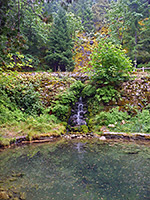 Pool on Cave Creek