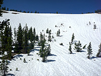 Snowy hillside