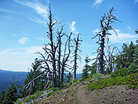 Crater Peak Trail