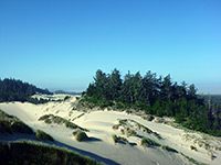 Oregon Dunes