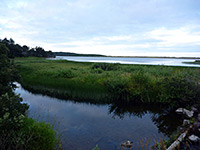 Pool beside Floras Lake